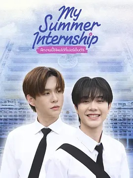 我的夏日实习